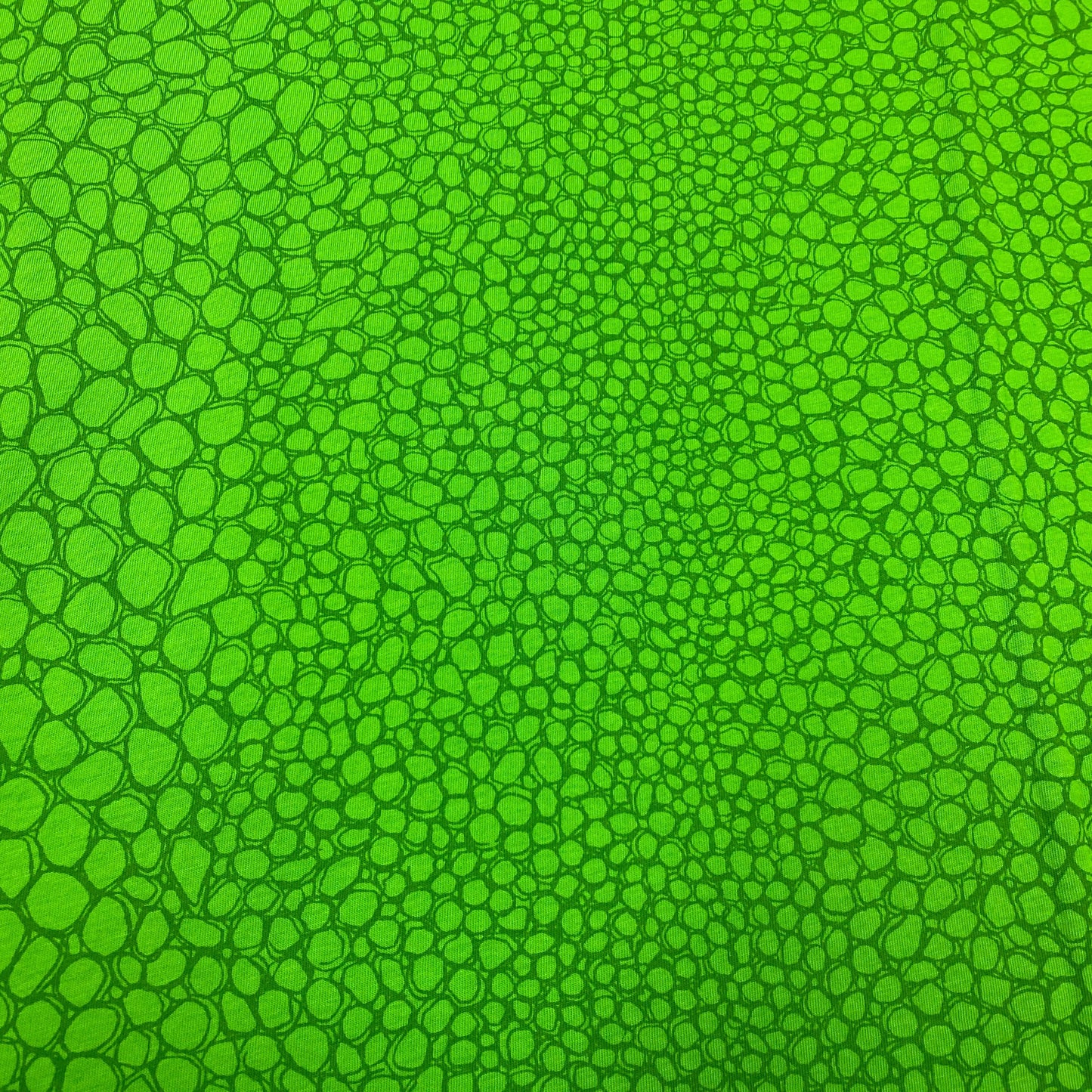 Alligator Skin on Green Organic Cotton Jersey - Nature's Fabrics