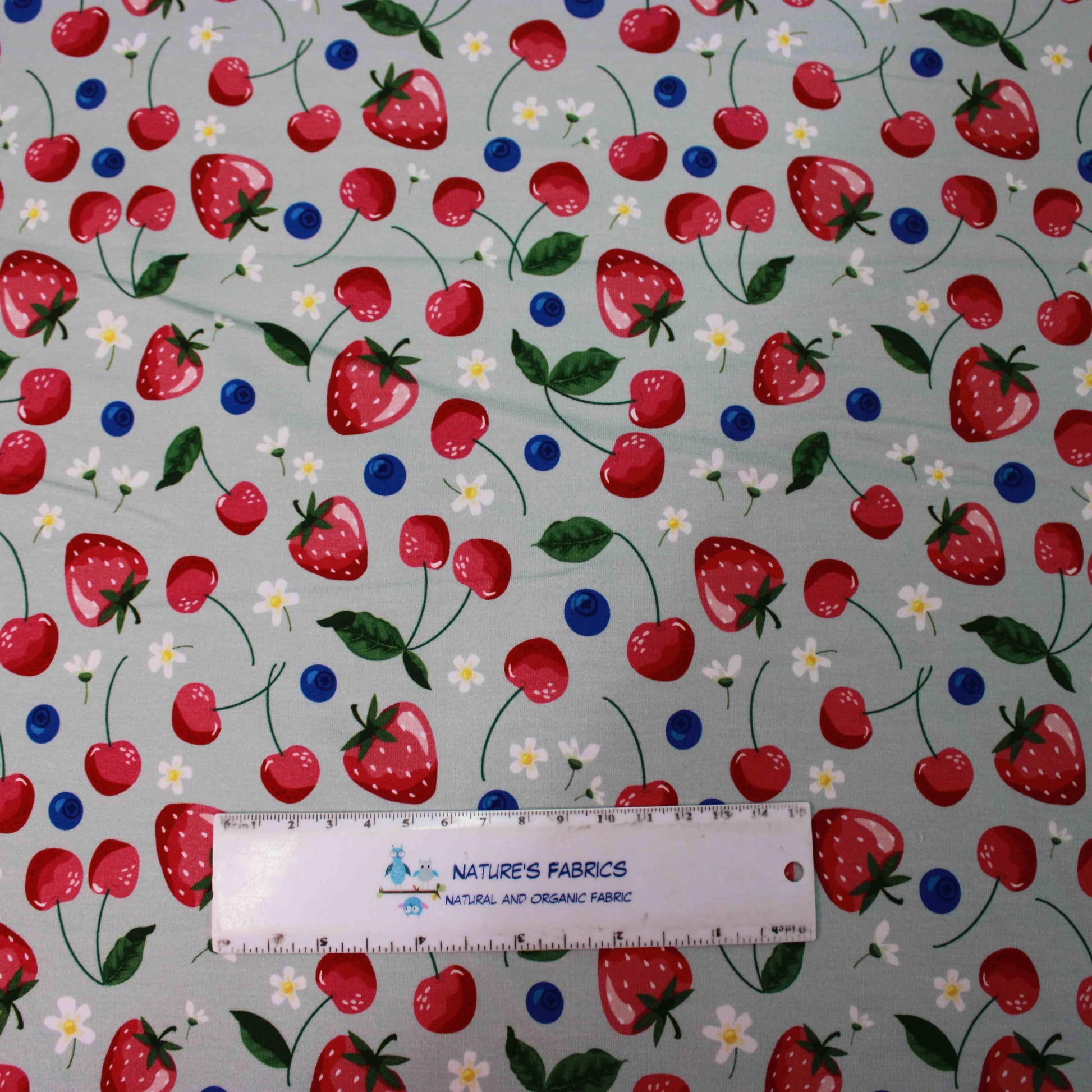 Berries on Mint Bamboo/Spandex Jersey Fabric - Nature's Fabrics