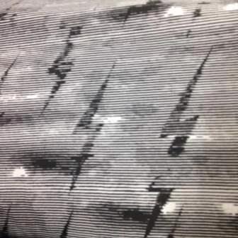 Lightning Stripe on White Cotton Jersey Fabric - Nature's Fabrics