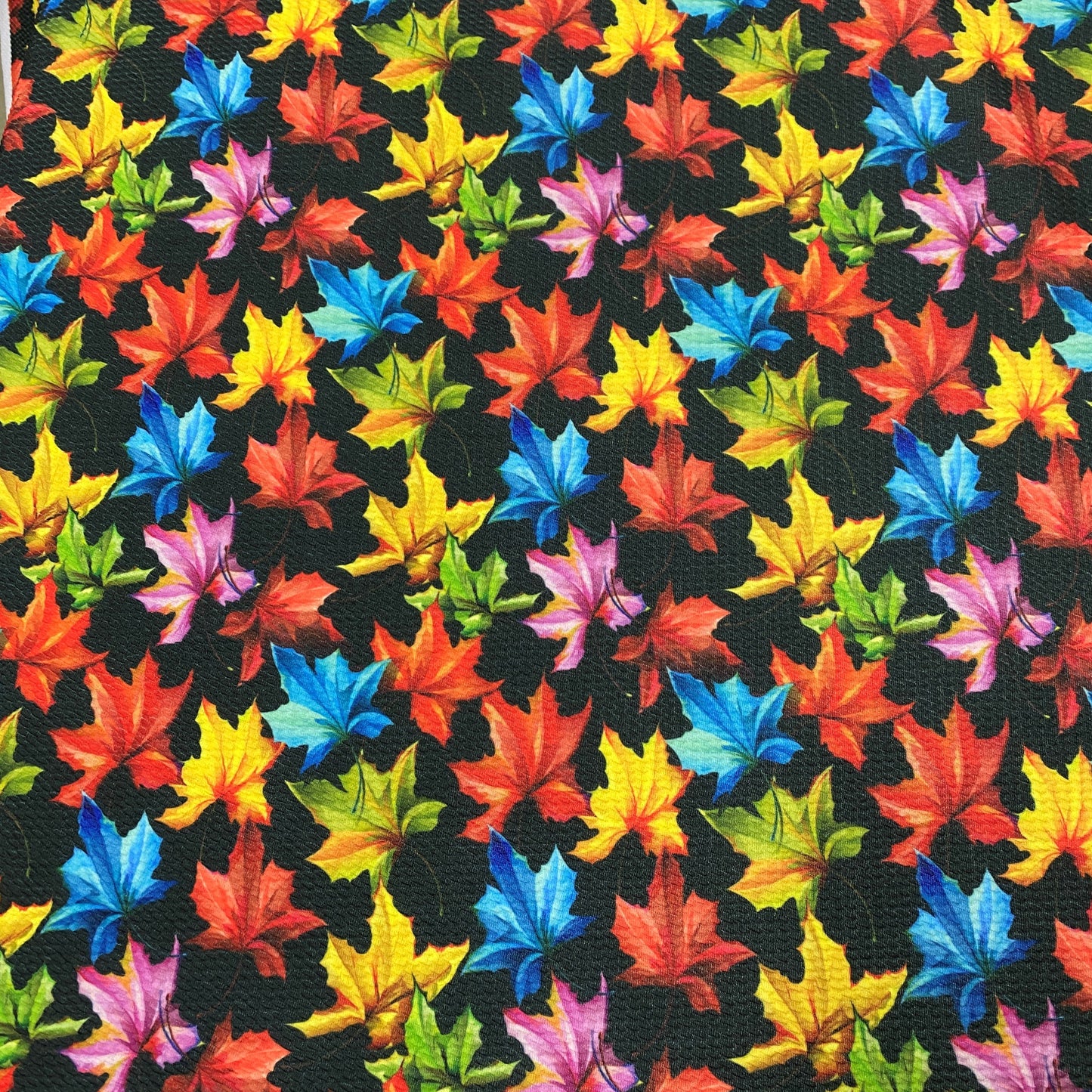 Rainbow Leaves on Black Bullet Knit - Nature's Fabrics