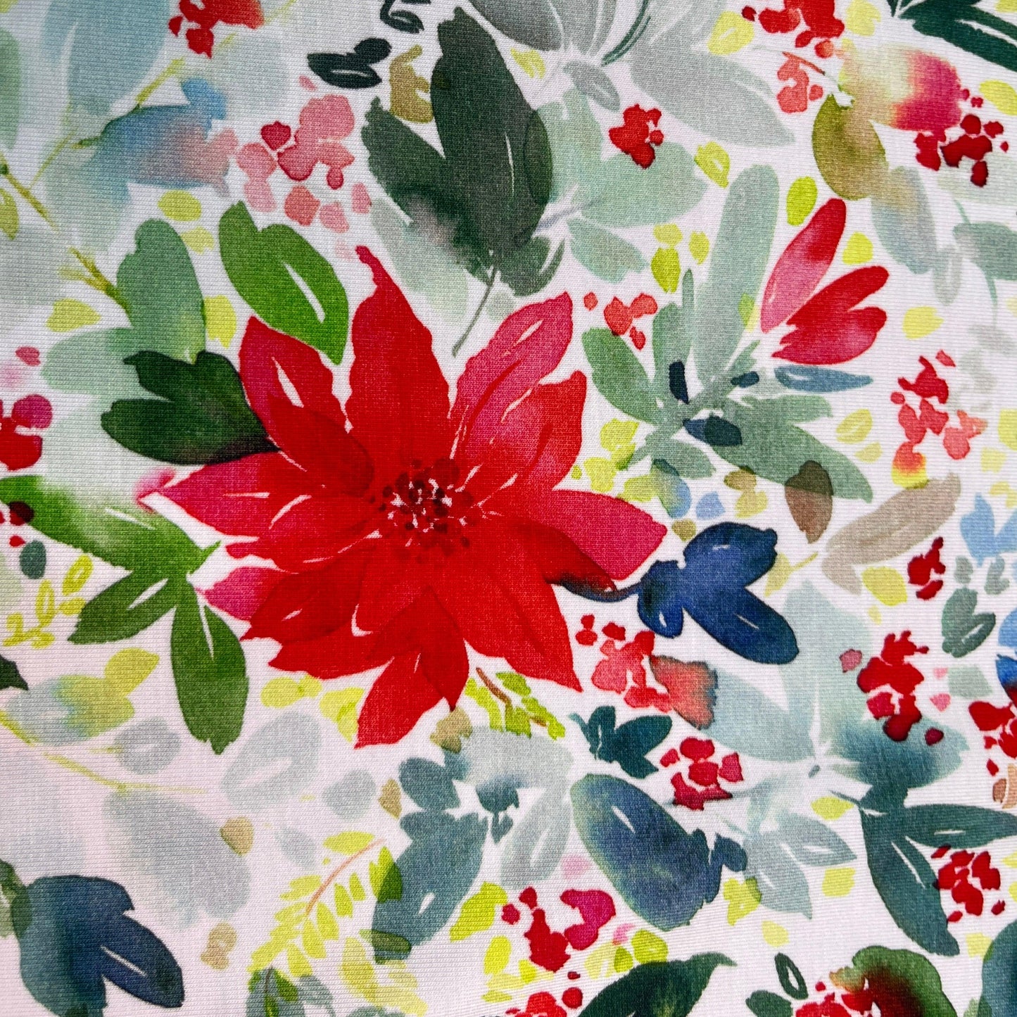 Watercolor Poinsettias on Bamboo/Spandex Jersey Fabric - Nature's Fabrics