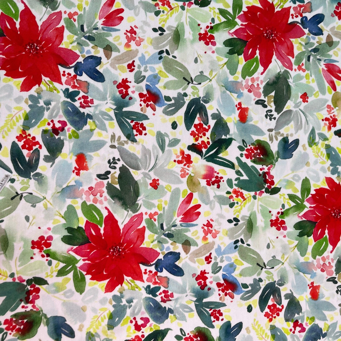 Watercolor Poinsettias on Bamboo/Spandex Jersey Fabric - Nature's Fabrics